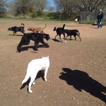 Norman Community Dog Park at Griffin Park photo 1